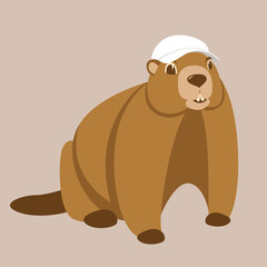 groundhog  in cap  vector illustration flat style front