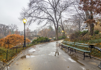Central Park, New York City during rain