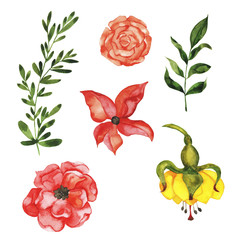 Set of red and yellow doodle flowers and green leaves isolated on white background. Floral design elements. Hand drawn watercolor illustration.