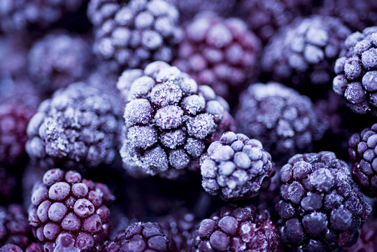 blackberries