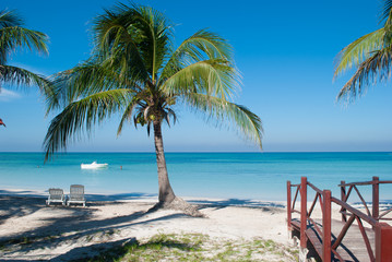 Palm on the beach of Cayo Jutias in Cuba. Boat and blue sea have a rest on the golden sand. Beach in the Gulf of Mexico.
