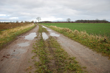 Country road with puddles