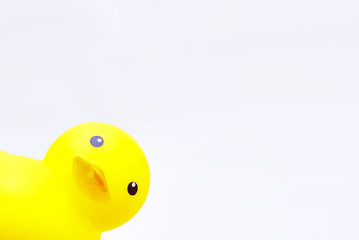 Yellow Rubber Duck Toy Isolated Over White Background