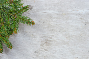 christmas fir tree on a white wooden board