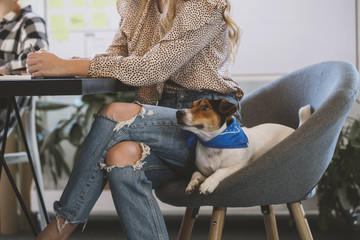 Modern Businesswoman Sitting Next to Her Dog