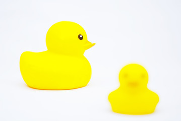 Yellow Rubber Duck Toy Isolated Over White Background