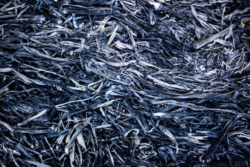 Ashes textures of burned the grass. Abstract background, selective focus, process black and white color.