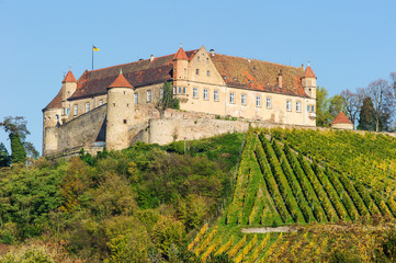 Fototapeta premium Burg Stettenfels in Untergruppenbach