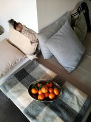 Obstschale mit Mandarinen auf einer karierten Wolldecke auf einem Sofa mit Kissen im Wohnzimmer...