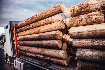 lorry log truck carries  logs