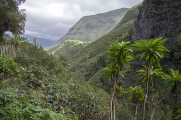 Rabacal valley, Madeira island, Portugal