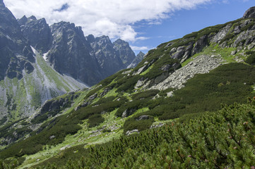Obraz premium Mengusovska dolina, important hiking trail to hight mount Rysy, High Tatra mountains, Slovakia, amazing view with green hills