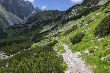 Fototapeta na wymiar Mengusovska dolina, important hiking trail to hight mount Rysy, High Tatra mountains, Slovakia, amazing view with green hills