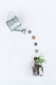 Watering can pouring cents onto a green plant