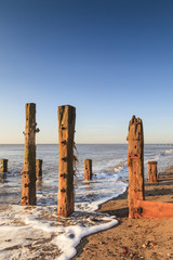 Old Jetty Posts at Sunrise