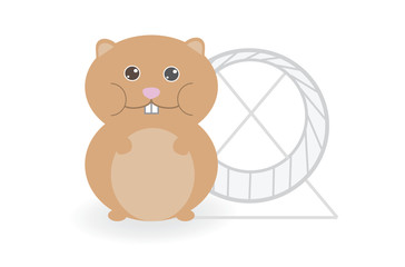 hamster and wheel, cute hamster, fat hamster