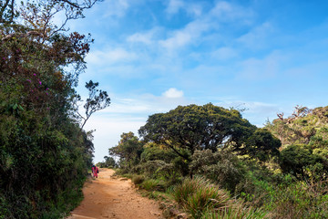 Obraz premium Tourists walk in Horton Plains