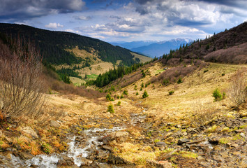 Panorama of idyllic landscape in the spring mountains. View of the mountain stream flowing among the hills. 