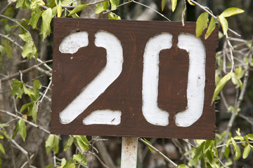 Zahl: 20 (Hausnummer/Alter/Jubileum/Hochzeitstag etc.)