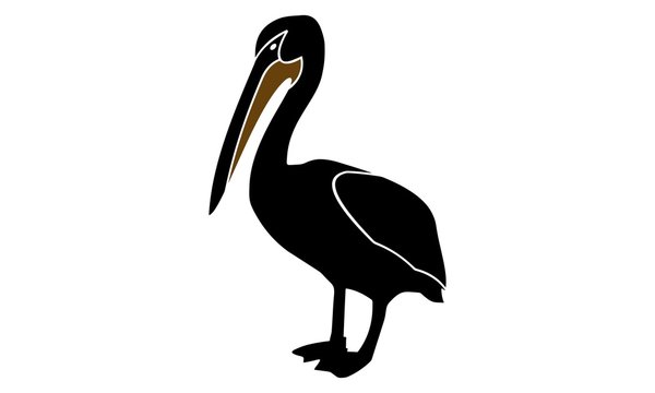 pictures of silhouette of pelicans