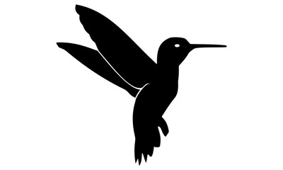 silhouette of the hummingbird fly