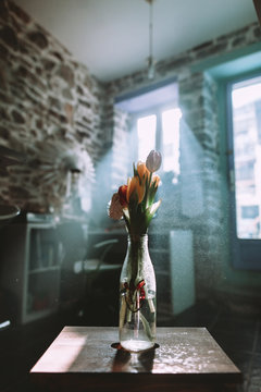 Light Rays Getting Through The Window Illuminating A Tulip Vase