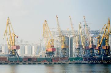 Fototapeta na wymiar Marine Station. Cranes unload new cargo from ships