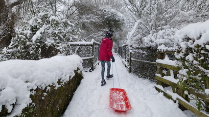 Girl pulling sledge on a snowy winters morning
