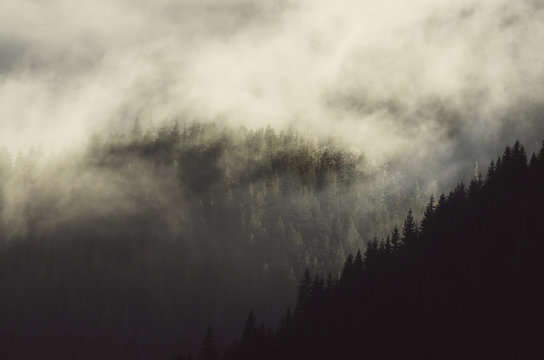 Mountain landscape with fog