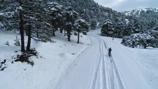 fat bike bisiklet modeli ile karlı orman yollarında sürüş