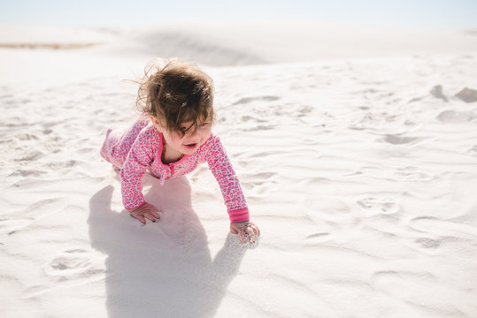The crawler