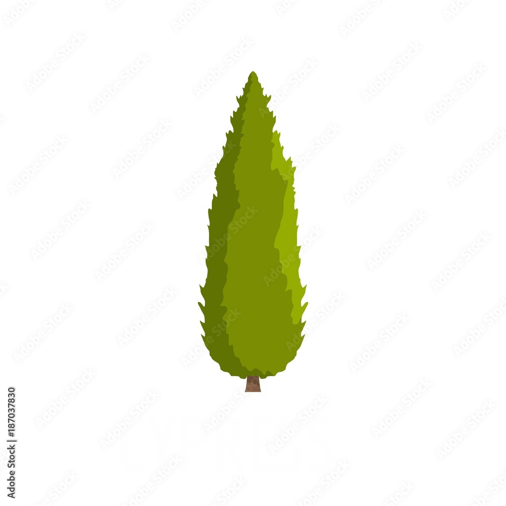 Poster cypress tree icon. flat illustration of cypress tree vector icon isolated on white background