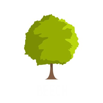 Beech tree icon. Flat illustration of beech tree vector icon isolated on white background