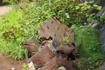 Natur holt sich alles zurück