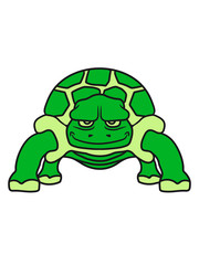 schildkröte süß niedlich comic cartoon clipart land beine