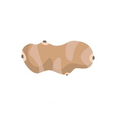 Topinambour icon. Flat illustration of topinambour vector icon isolated on white background