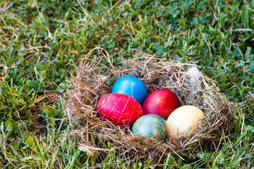 Colorful easter eggs in nest on meadow