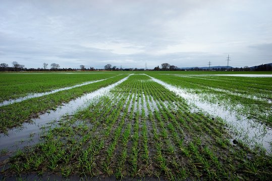 Hochwasser sorgt bei Landwirten für hohen Schaden