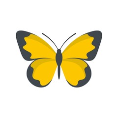 Flying butterfly icon. Flat illustration of flying butterfly vector icon isolated on white background