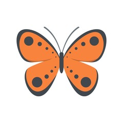 Tropical butterfly icon. Flat illustration of tropical butterfly vector icon isolated on white background