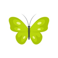 Exotic butterfly icon. Flat illustration of exotic butterfly vector icon isolated on white background