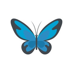 Flying moth icon. Flat illustration of flying moth vector icon isolated on white background