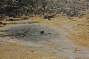 Fototapeta na wymiar Okavango Delta Botswana