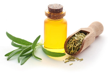 Fresh organic rosemary with essential oil