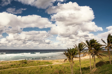 Fototapeta na wymiar Cuban coast with view of the ocean and palm trees near Havana