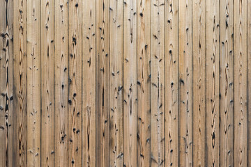 Fototapeta premium pine wood plank wall texture