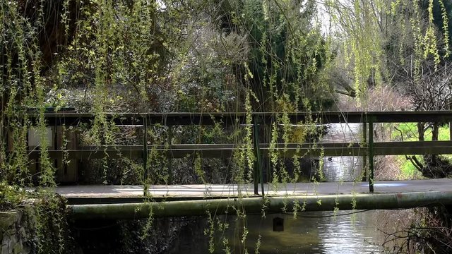 Br&uuml;cke &uuml;ber Wassergraben