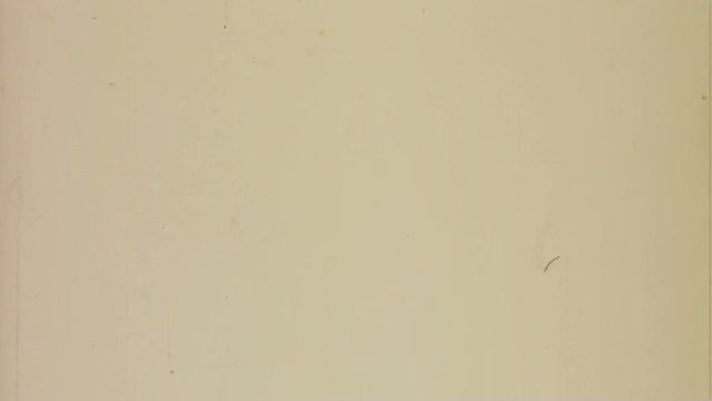 Flicker 007: Writing on scratched film leader (Loop).