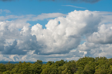 markante wolken über wald