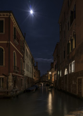 Fototapeta na wymiar Venezia di notte Cavalli Piana del Cansiglio prime luci 